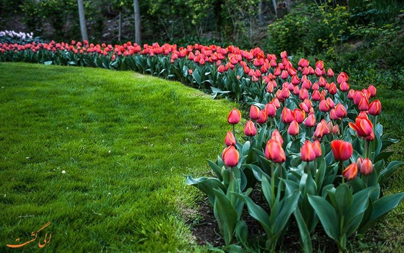 برگزاری جشنواره گل های لاله در کرج، تهران و دیگر شهرهای برگزاری جشنواره گل های لاله در کرج، تهران و دیگر شهرهای ایران