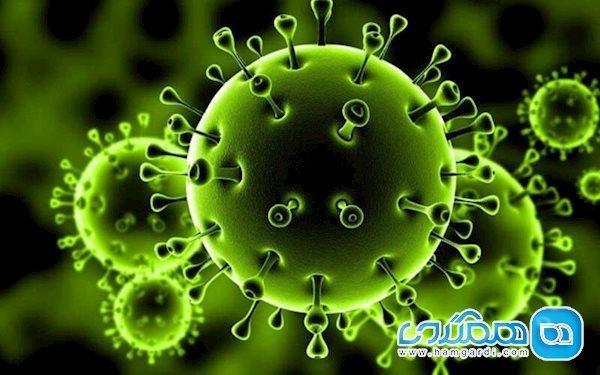 بروز سکته مغزی در افراد جوان بر اثر کرونا بروز سکته مغزی در افراد جوان بر اثر کرونا