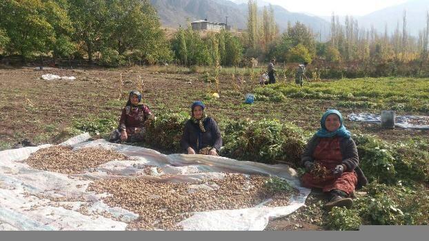 خبرنگاران چهار صندوق خرد زنان روستایی در باشت تشکیل شد خبرنگاران چهار صندوق خرد زنان روستایی در باشت تشکیل شد