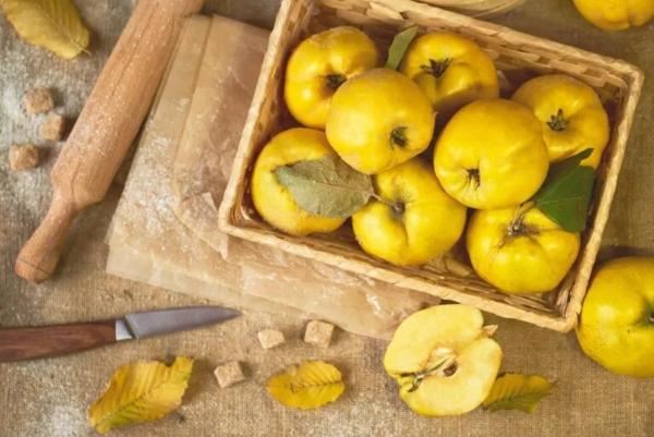 16 نکته برای درست کردن مربای به 16 نکته برای درست کردن مربای به