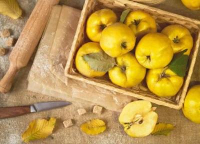 16 نکته برای درست کردن مربای به