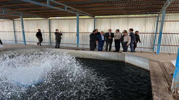 بازدید وزیر جهاد کشاورزی از واحد تولیدی پرورش ماهیان خاویاری